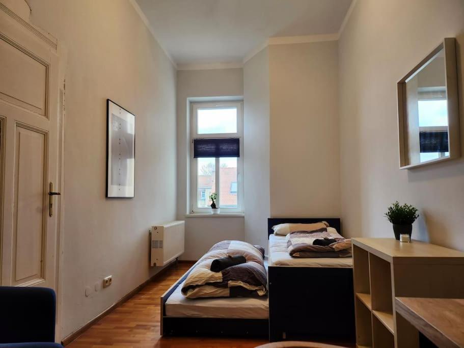 4 Raum Wohnung Mit Balkon Auf 120Sqm In Top Lage ドレスデン エクステリア 写真